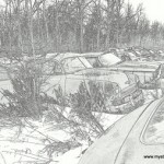 bwfallenstarimgp3305-1