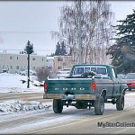 feb12-cntrymystarimgp2907-2