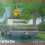 june12-05imgp3009-003