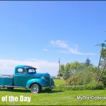 aug12-18imgp6060-002