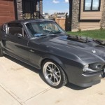 mustang
