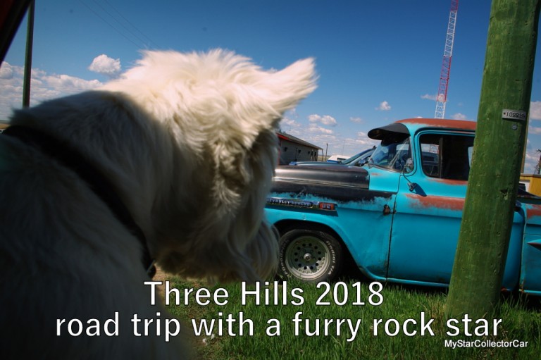 MYSTARCOLLECTORCAR HITS THE THREE HILLS CAR SHOW WITH A FURRY ROCK STAR MyStarCollectorCar MYSTARCOLLECTORCAR HITS THE THREE HILLS CAR SHOW WITH A FURRY ROCK STAR MyStarCollectorCar