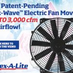 Flex-a-lite_StarCollector_300x250_Aug2019