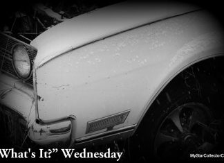 MSCC SEPTEMBER 4 “WHAT’S IT” WEDNESDAY—IT’S BACK AFTER A SUMMER VACATION