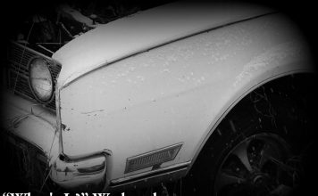 MSCC SEPTEMBER 4 “WHAT’S IT” WEDNESDAY—IT’S BACK AFTER A SUMMER VACATION