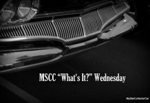 MSCC OCTOBER 2 “WHAT’S IT?” WEDNESDAY—THE PIECES OF THE PUZZLE COME IN PAIRS