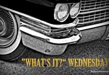 MSCC NOVEMBER 6 “WHAT’S IT?” WEDNESDAY—ONE CAR, ONE SIDE, ONE ANSWER