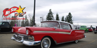 MARCH 2020 STARS OF THE SHOW – THE STARS OF SPRING