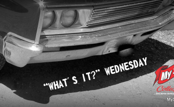 MSCC APRIL 8 “WHAT’S IT?” WEDNESDAY – A PUZZLE FOR THE SHUT-INS