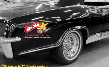 MSCC MAY 20 “WHAT’S IT?” WEDNESDAY – A SIDE LOOK AND A STRAIGHT-ON LOOK