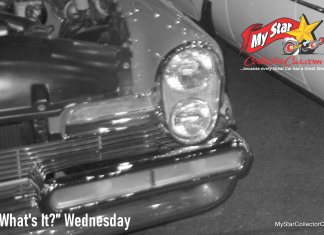 MSCC JULY 29 “WHAT’S IT?” WEDNESDAY – IT’S BIG, RARE AND COOL