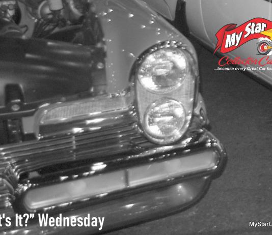 MSCC JULY 29 “WHAT’S IT?” WEDNESDAY – IT’S BIG, RARE AND COOL