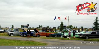 DOG DAY MORNING AT THE PAWSITIVE HAVEN ANIMAL RESCUE CAR SHOW & SHINE