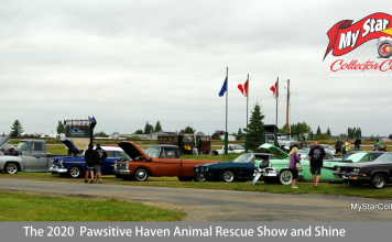 DOG DAY MORNING AT THE PAWSITIVE HAVEN ANIMAL RESCUE CAR SHOW & SHINE