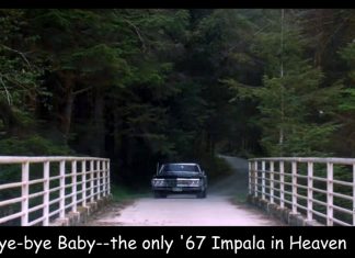 BYE BYE BABY GOODBYE…A BEAUTIFUL TV STAR HEADS INTO THE SUNSET