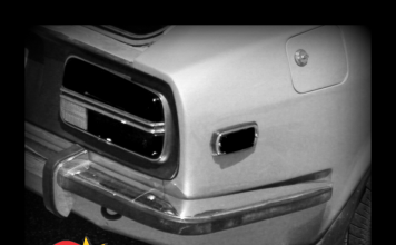 MSCC DECEMBER 2, 2020 “WHAT’S IT?” WEDNESDAY—STANDARD CLUES FOR THE SOLUTION