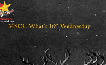 MSCC DECEMBER 23 “WHAT’S IT?” WEDNESDAY—YOU’LL NEED BOTH CLUES