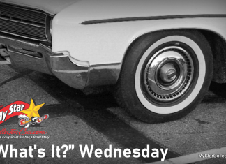 MSCC MARCH 17 “WHAT’S IT?” WEDNESDAY—CELEBRATE ST PADDY’S DAY BY SOLVING A PUZZLE