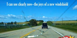 A WINDSHIELD MISADVENTURE WITH A HAPPY ENDING