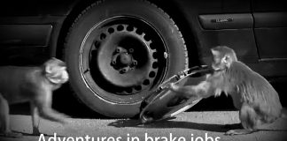 A BRAKE JOB THAT WAS NEARLY A BREAK JOB: MECHANICAL MISADVENTURES