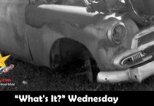 MSCC JUNE 2 “WHAT’S IT?” WEDNESDAY—A JUNKYARD DOG MISSING A FEW PARTS