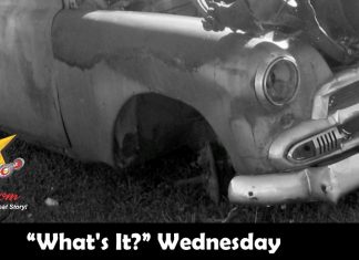 MSCC JUNE 2 “WHAT’S IT?” WEDNESDAY—A JUNKYARD DOG MISSING A FEW PARTS
