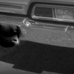 DSC02644-001