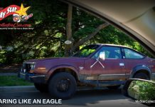 SOARING LIKE AN AMC EAGLE…BEFORE THE CRASH-LANDING
