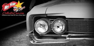 MSCC AUGUST 11 “WHAT’S IT?” WEDNESDAY—A COMPOSITE OF TWO CLUES