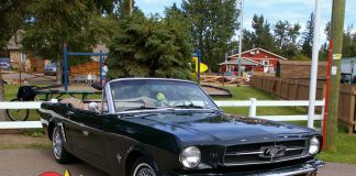 MARCH 2022: A 1964 ½ MUSTANG CONVERTIBLE IS A FIRST CAR AND FOND FATHER/SON MEMORY FOR ITS OWNER