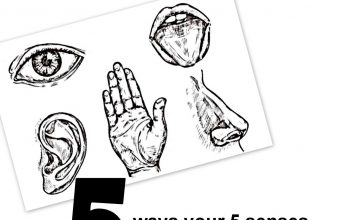 OCTOBER 15 MSCC FIVE FOR FRIDAY: MYSTARCOLLECTORCAR EXPLAINS HOW THE FIVE BASIC SENSES RELATE TO THE CAR HOBBY