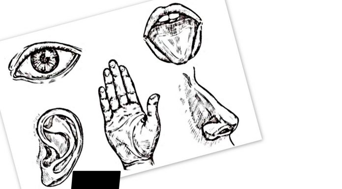 OCTOBER 15 MSCC FIVE FOR FRIDAY: MYSTARCOLLECTORCAR EXPLAINS HOW THE FIVE BASIC SENSES RELATE TO THE CAR HOBBY