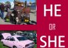 IS YOUR OLD CAR MALE, FEMALE, OR NON-GENDER SPECIFIC?