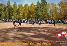 DECEMBER 2021 STARS OF THE SHOW—THE YEAR IN REVIEW
