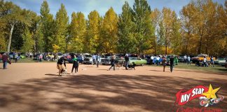 DECEMBER 2021 STARS OF THE SHOW—THE YEAR IN REVIEW