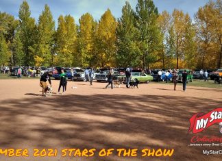 DECEMBER 2021 STARS OF THE SHOW—THE YEAR IN REVIEW