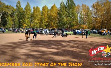 DECEMBER 2021 STARS OF THE SHOW—THE YEAR IN REVIEW
