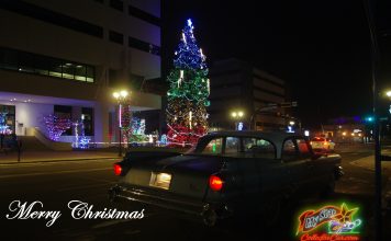 MERRY CHRISTMAS AND THANK YOU FROM MYSTARCOLLECTORCAR