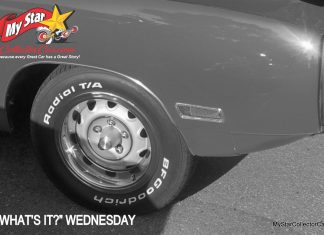 MSCC JANUARY 19 “WHAT’S IT?” WEDNESDAY—TAKE A MID-WEEK WILD GUESS