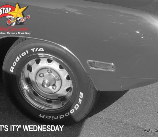 MSCC JANUARY 19 “WHAT’S IT?” WEDNESDAY—TAKE A MID-WEEK WILD GUESS