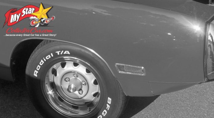 MSCC JANUARY 19 “WHAT’S IT?” WEDNESDAY—TAKE A MID-WEEK WILD GUESS