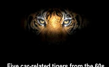 MSCC JANUARY 21 FIVE FOR FRIDAY: THE SIXTIES…. FIVE REASONS WHY IT WAS THE TIGER DECADE