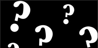 WHAT KIND OF CAR GUY PERSONALITY ARE YOU?