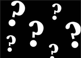 WHAT KIND OF CAR GUY PERSONALITY ARE YOU?