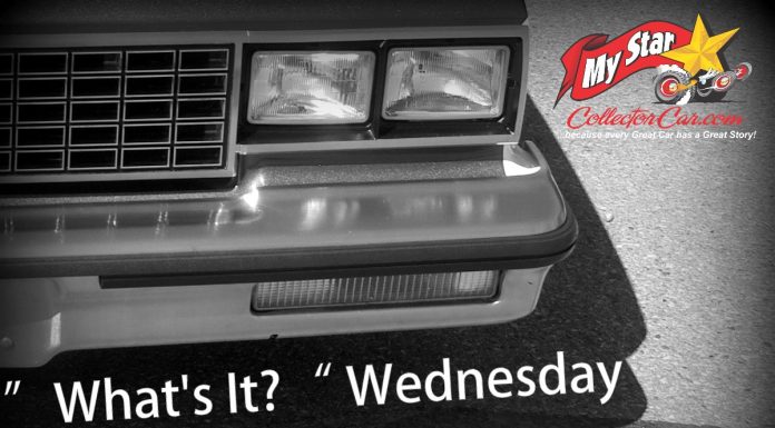 MSCC SEPTEMBER 28 “WHAT’S IT?” WEDNESDAY