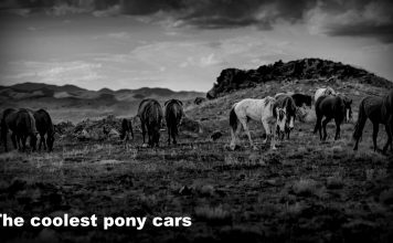 THE COOLEST PONY CARS