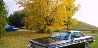 NOVEMBER 2022: A BEAUTIFUL 1961 CHEVY IMPALA IS A BIG PART OF THIS CAR GIRL’S LIFE
