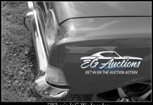 EGAUCTIONS.COM APRIL 26 “WHAT’S IT?” WEDNESDAY