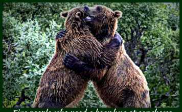 MSCC MAY 19 FIVE FOR FRIDAY: MYSTARCOLLECTORCAR DECIDES WHO DESERVES A BEAR HUG AT A CAR SHOW