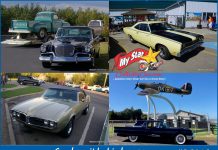 OF ALL THE BIRD-BRAINED IDEAS…THESE WERE SOME GOOD ONES